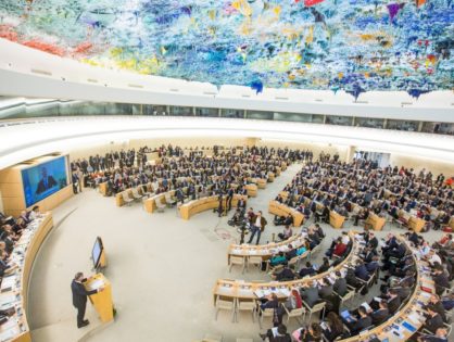 Спецдокладчик ООН: кто он и чем может помочь?